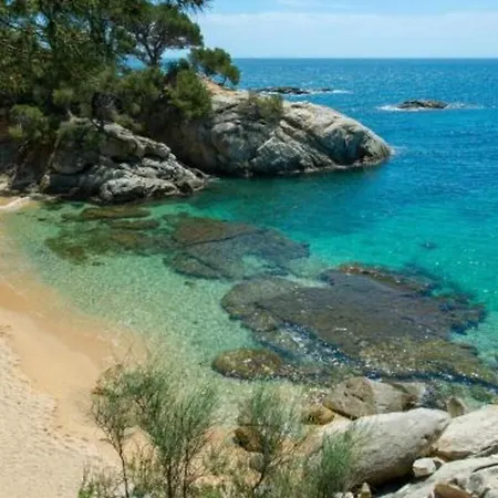 Hotel Hotel Serenity Platja D'Aro 3*